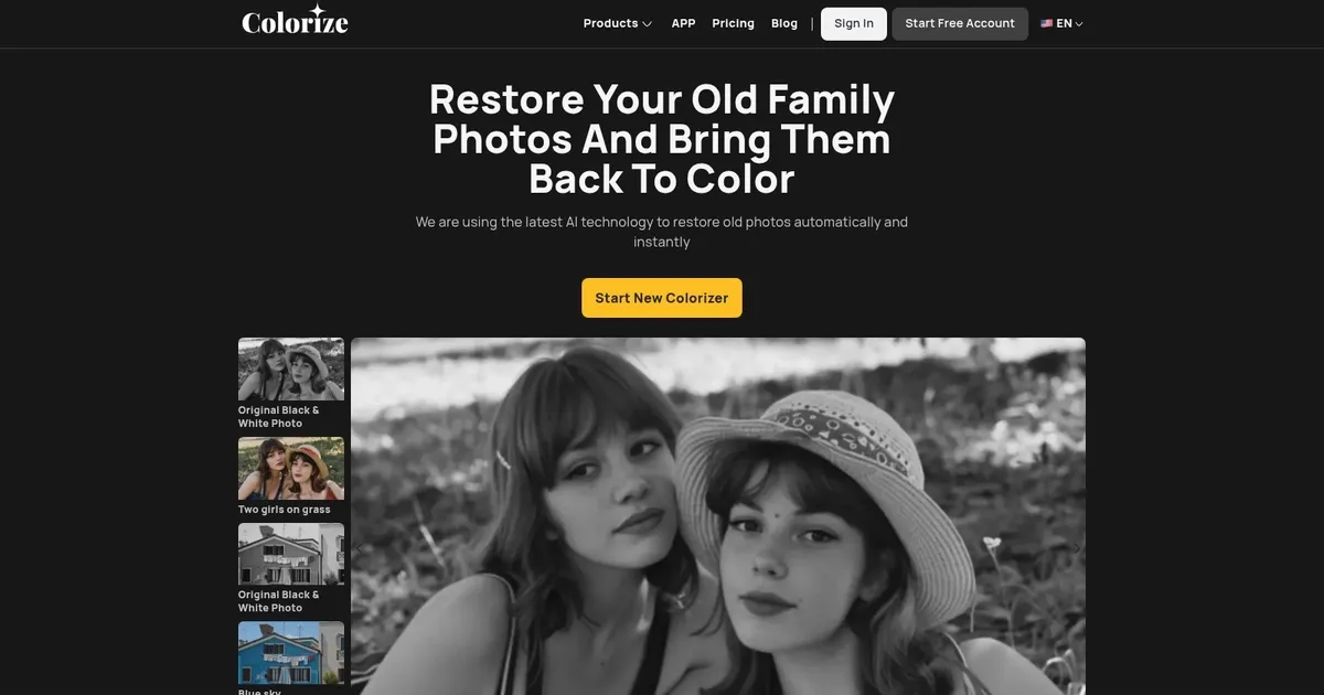 Image Colorizer - screenshot