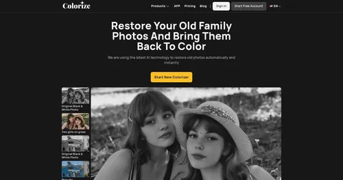 Image Colorizer