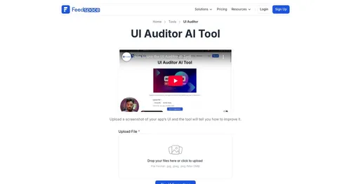 UI Auditor